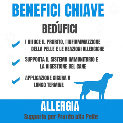 “Non ho più idee”, disse il veterinario. Ma c'è una soluzione. Ogni proprietario vuole che il proprio cane smetta di soffrire.