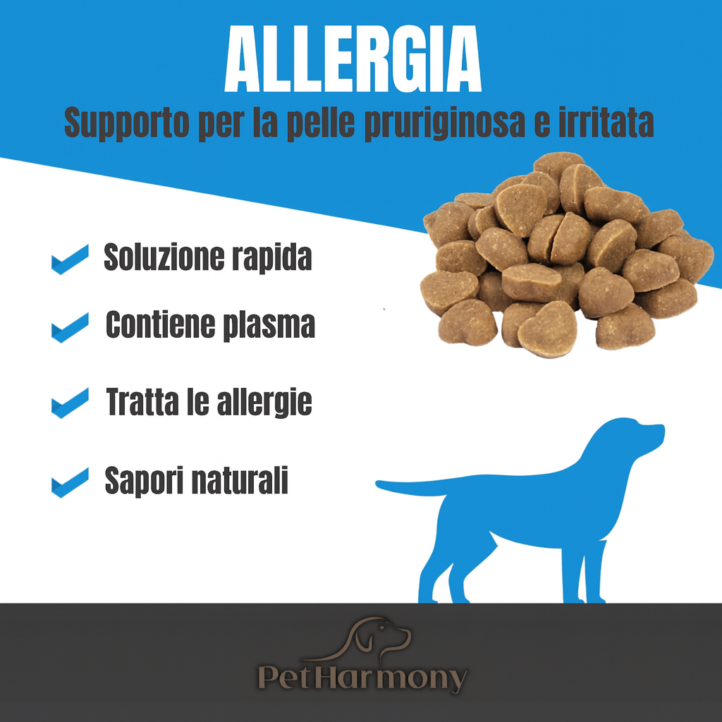 “Non ho più idee”, disse il veterinario. Ma c'è una soluzione. Ogni proprietario vuole che il proprio cane smetta di soffrire.