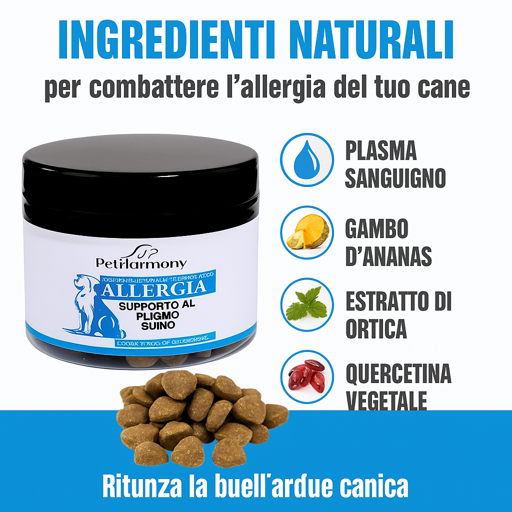 “Non ho più idee”, disse il veterinario. Ma c'è una soluzione. Ogni proprietario vuole che il proprio cane smetta di soffrire.