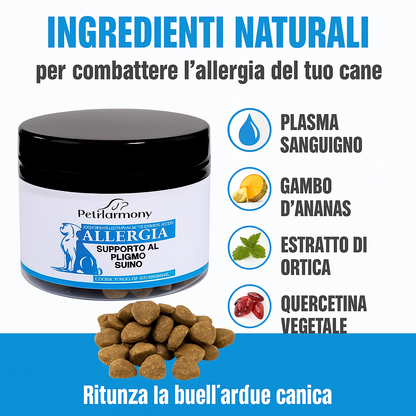 “Non ho più idee”, disse il veterinario. Ma c'è una soluzione. Ogni proprietario vuole che il proprio cane smetta di soffrire.
