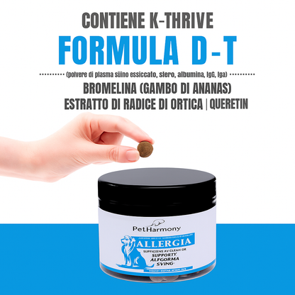 “Non ho più idee”, disse il veterinario. Ma c'è una soluzione. Ogni proprietario vuole che il proprio cane smetta di soffrire.