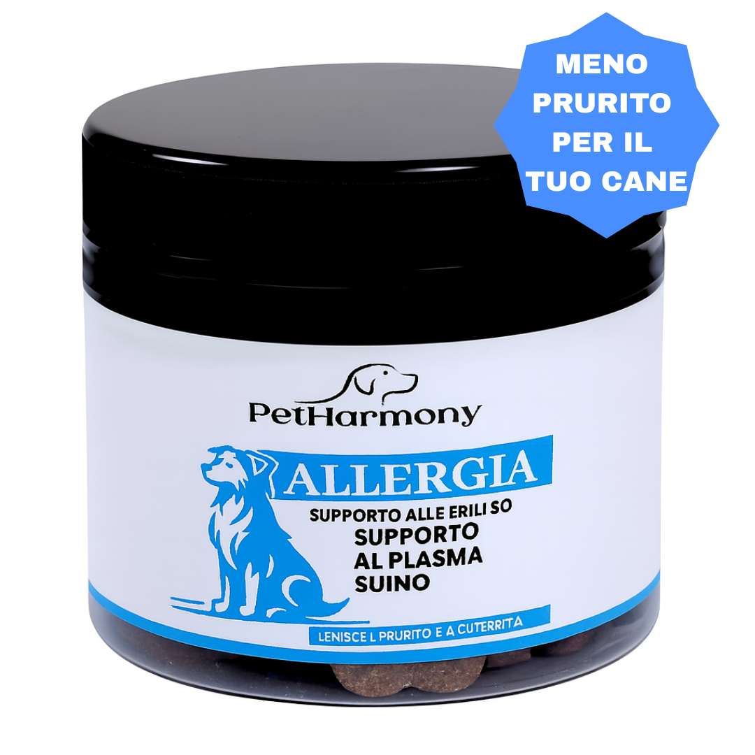 “Non ho più idee”, disse il veterinario. Ma c'è una soluzione. Ogni proprietario vuole che il proprio cane smetta di soffrire.