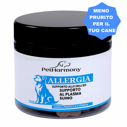 “Non ho più idee”, disse il veterinario. Ma c'è una soluzione. Ogni proprietario vuole che il proprio cane smetta di soffrire.